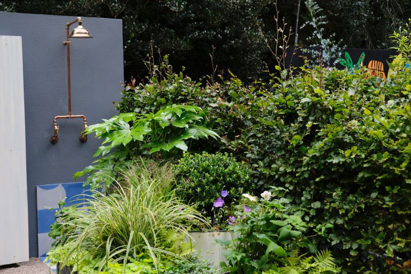 Before and After Shower Upgrade