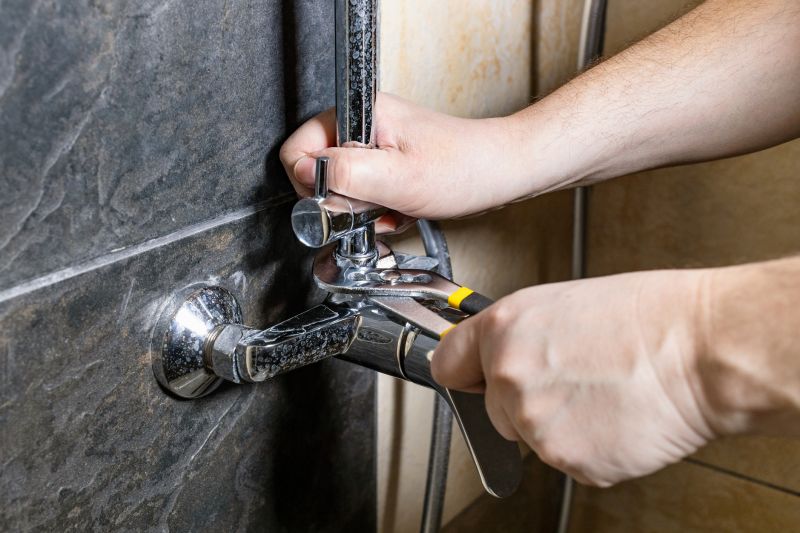 Professional Plumbing Services